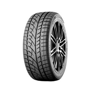 205/55 R 16 RoadX RxFrost WU01 91H