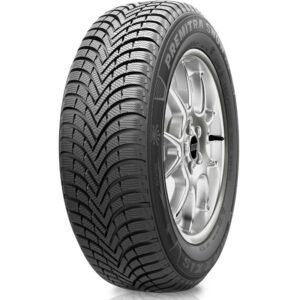 205/55 R 16 Maxxis WP6 Premitra Snow 91H